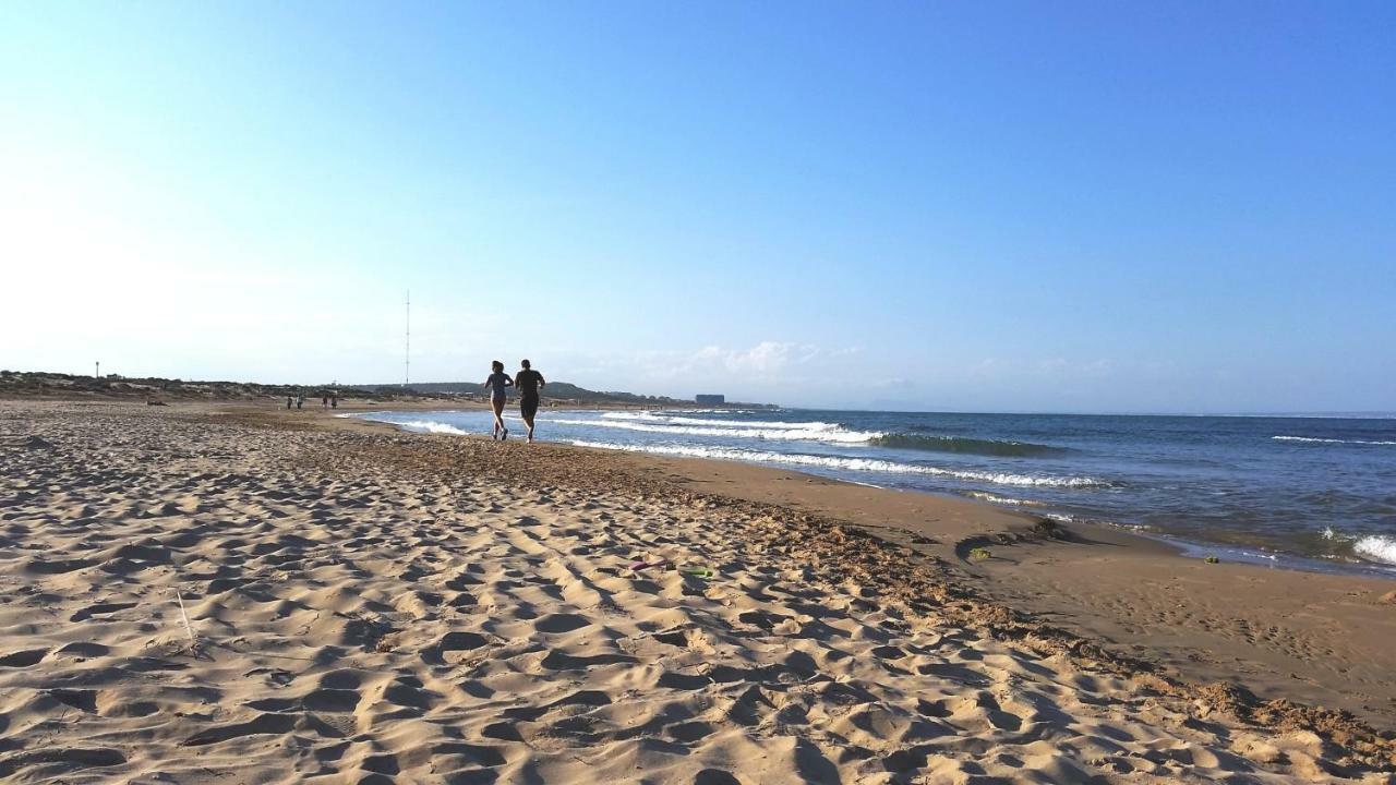 Urbanizacion Puerto Romano - Playa La Mata  Extérieur photo