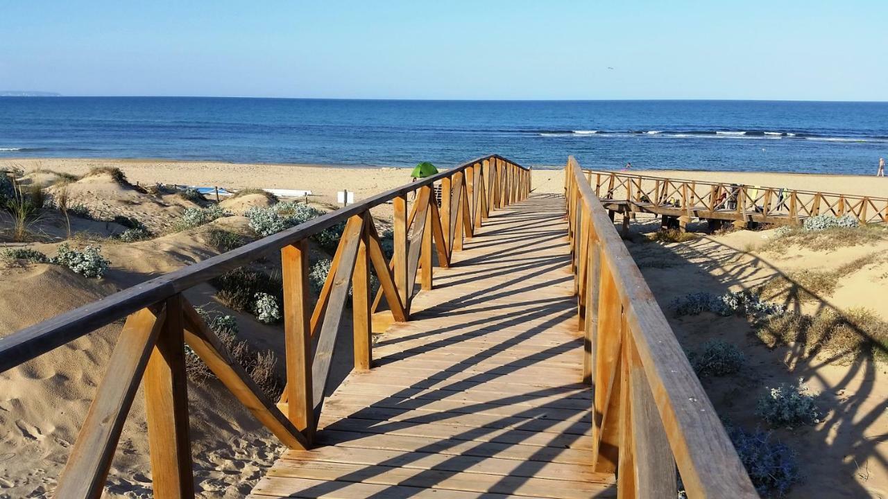 Urbanizacion Puerto Romano - Playa La Mata  Extérieur photo