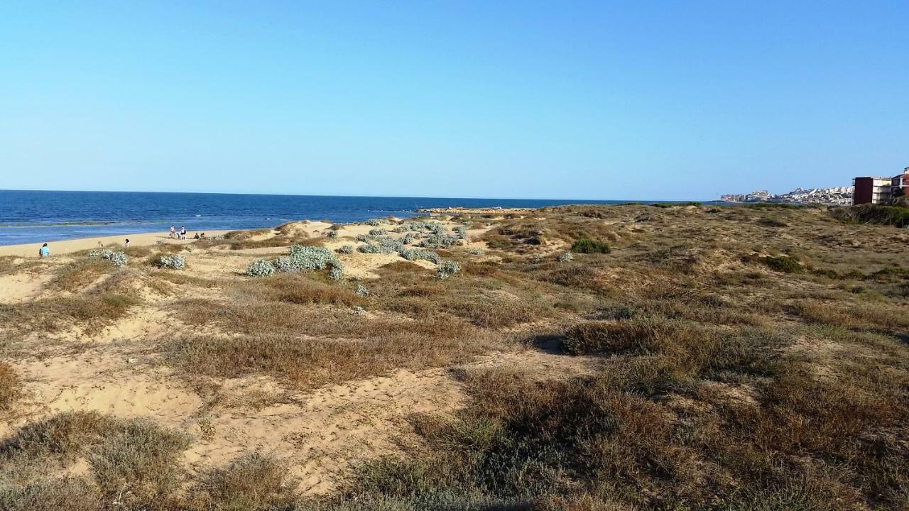 Urbanizacion Puerto Romano - Playa La Mata  Extérieur photo